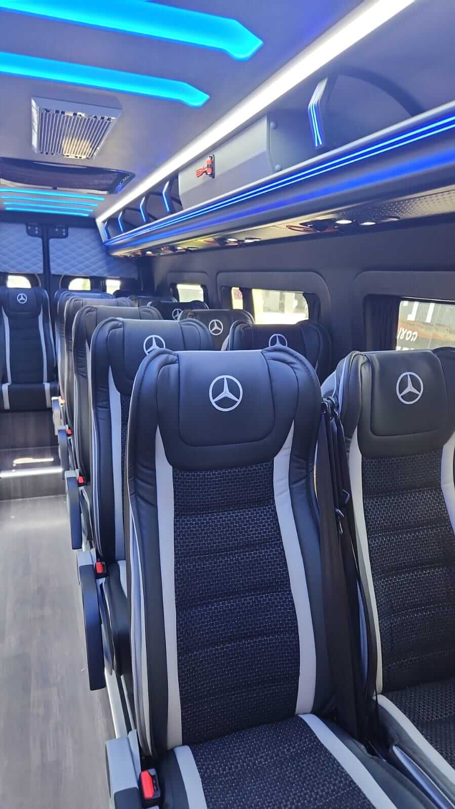 גלריה דניבוס 3